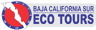 Aventura en Baja